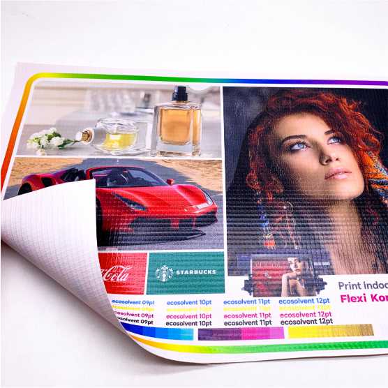 X-Banner Flexi Korea 440Gsm 60x160cm